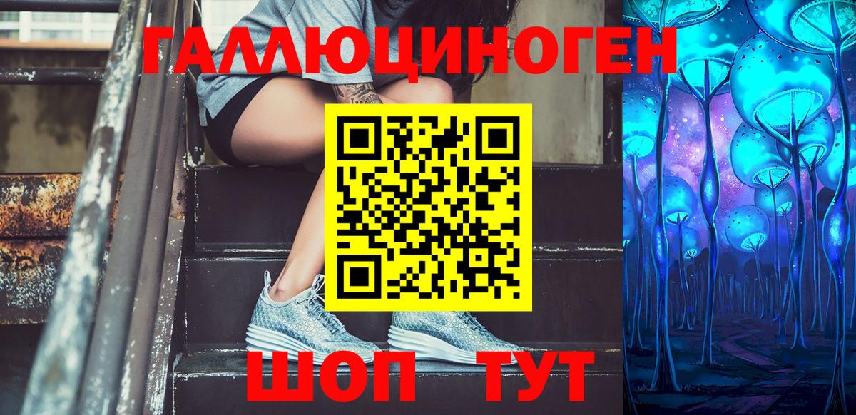 Псилоцибиновые грибы GOLDEN TEACHER Богданович